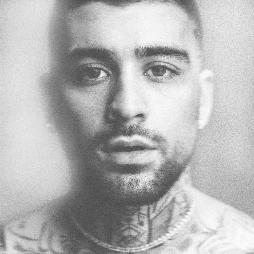 Zayn Squad Brasil 🌪️ tweet media