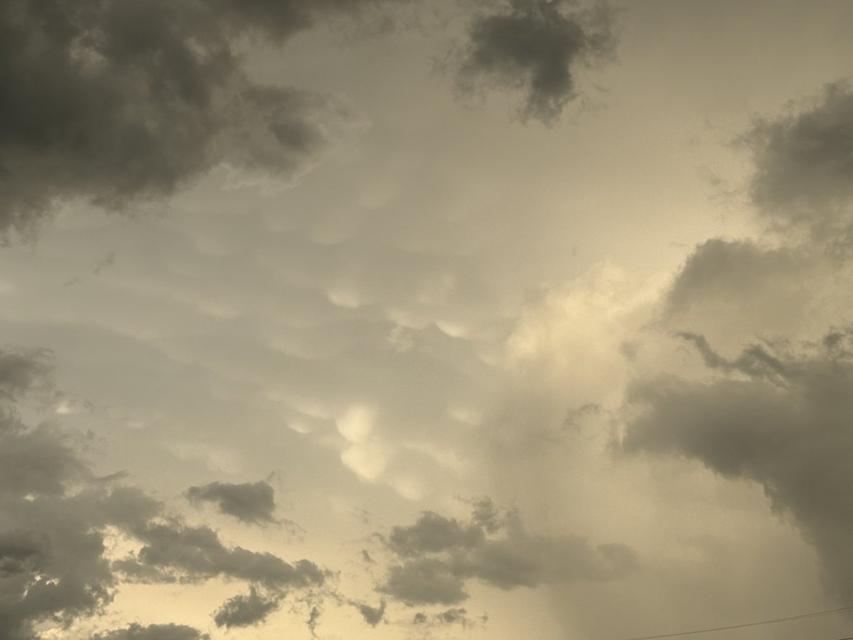 Quentin Hogan tweet media