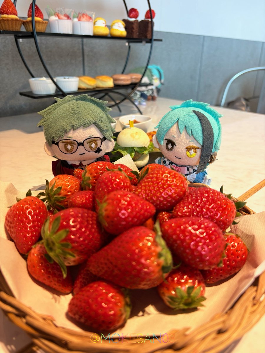 キノコを愛するぬい tweet media