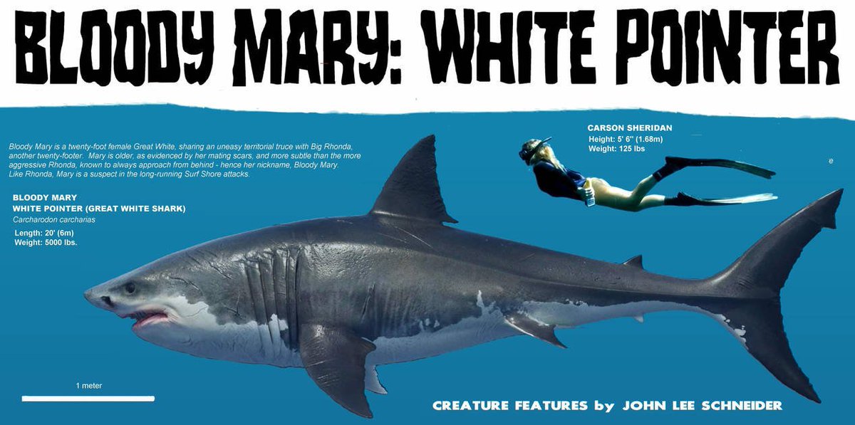 JLSCreatures's tweet image. amazon.com/dp/B07KLSJVTW #shark #horror #thriller #jaws #greatwhiteshark #whiteshark #whitepointer #kindle #johnleeschneider #severedpress #creaturefeature #monster #seamonster #ocean #maneater