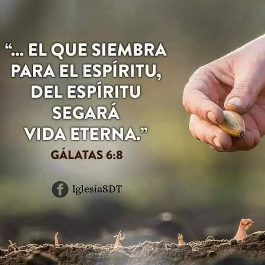 Rodrigo Varela tweet media