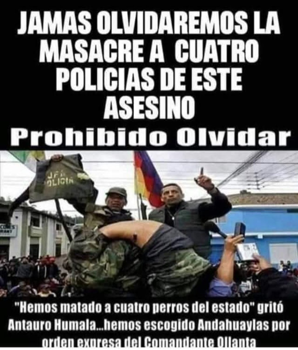 willma Lagos tweet media