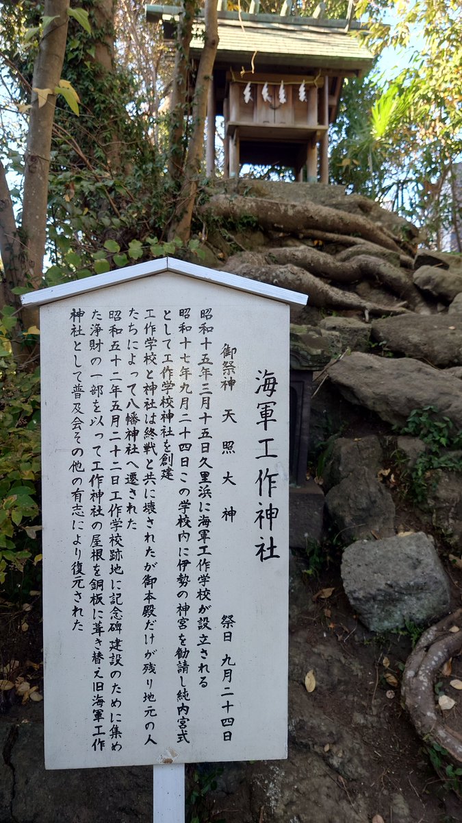 かげむしゃ tweet media