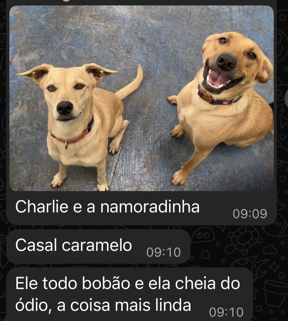 RED lau 2x tweet media