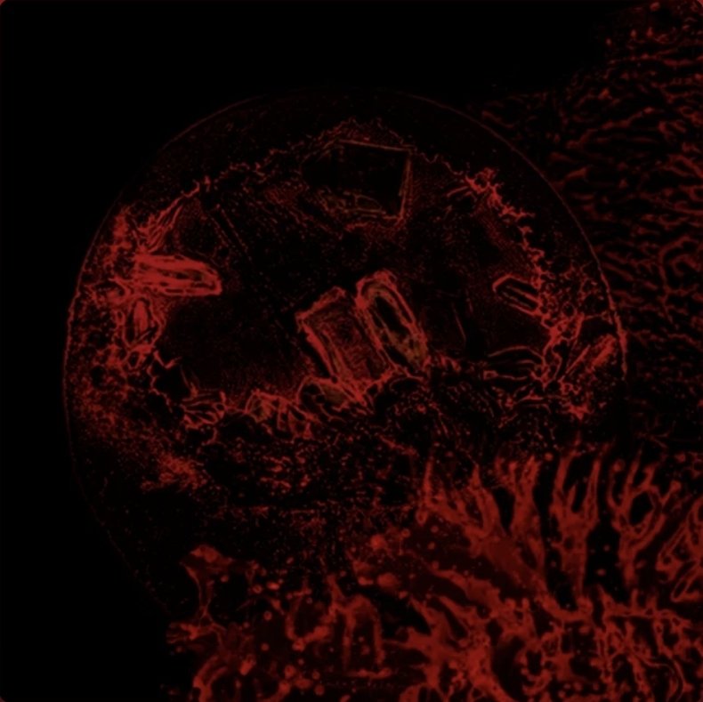 MetalheadRen's tweet image. Tuesday morning commute with Impure Declaration 🤘
#Metal  #MetalMusic #HeavyMetal #NowPlaying