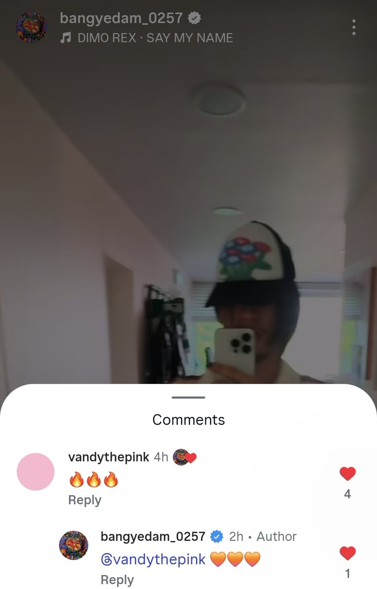 pearl 🦊🕶 tweet media