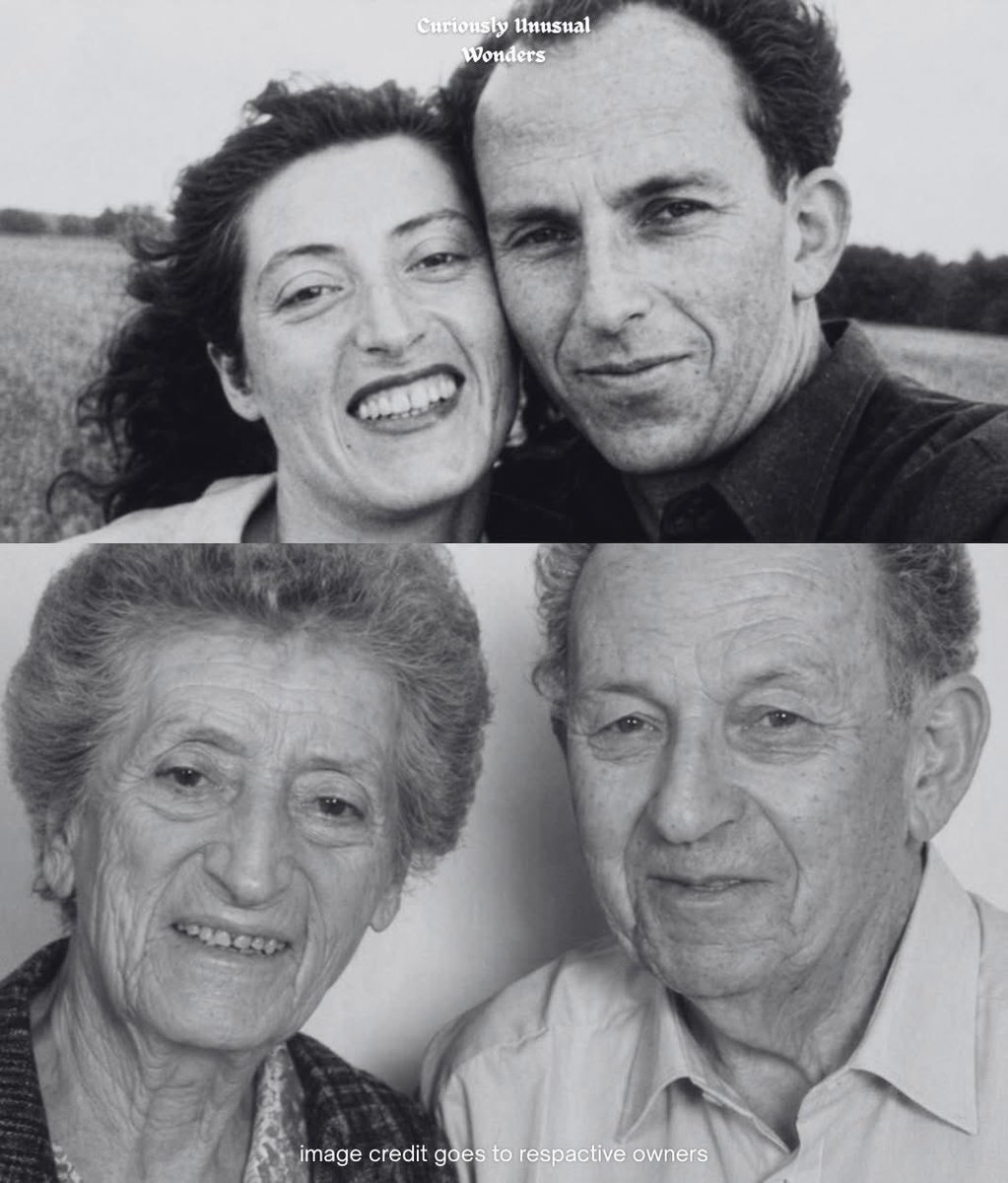 Mr PitBull Stories tweet media