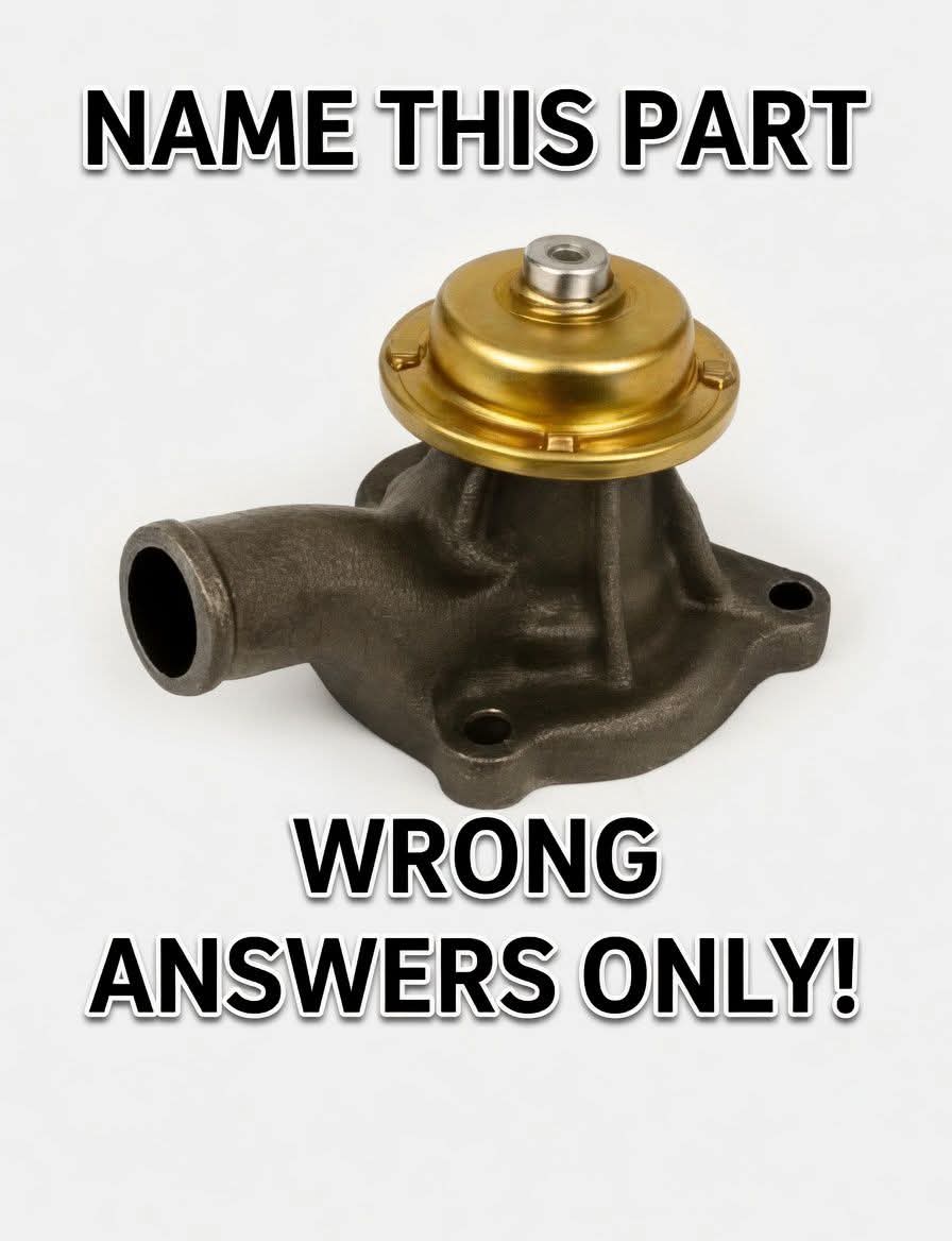 Elizabeth❣️ tweet media