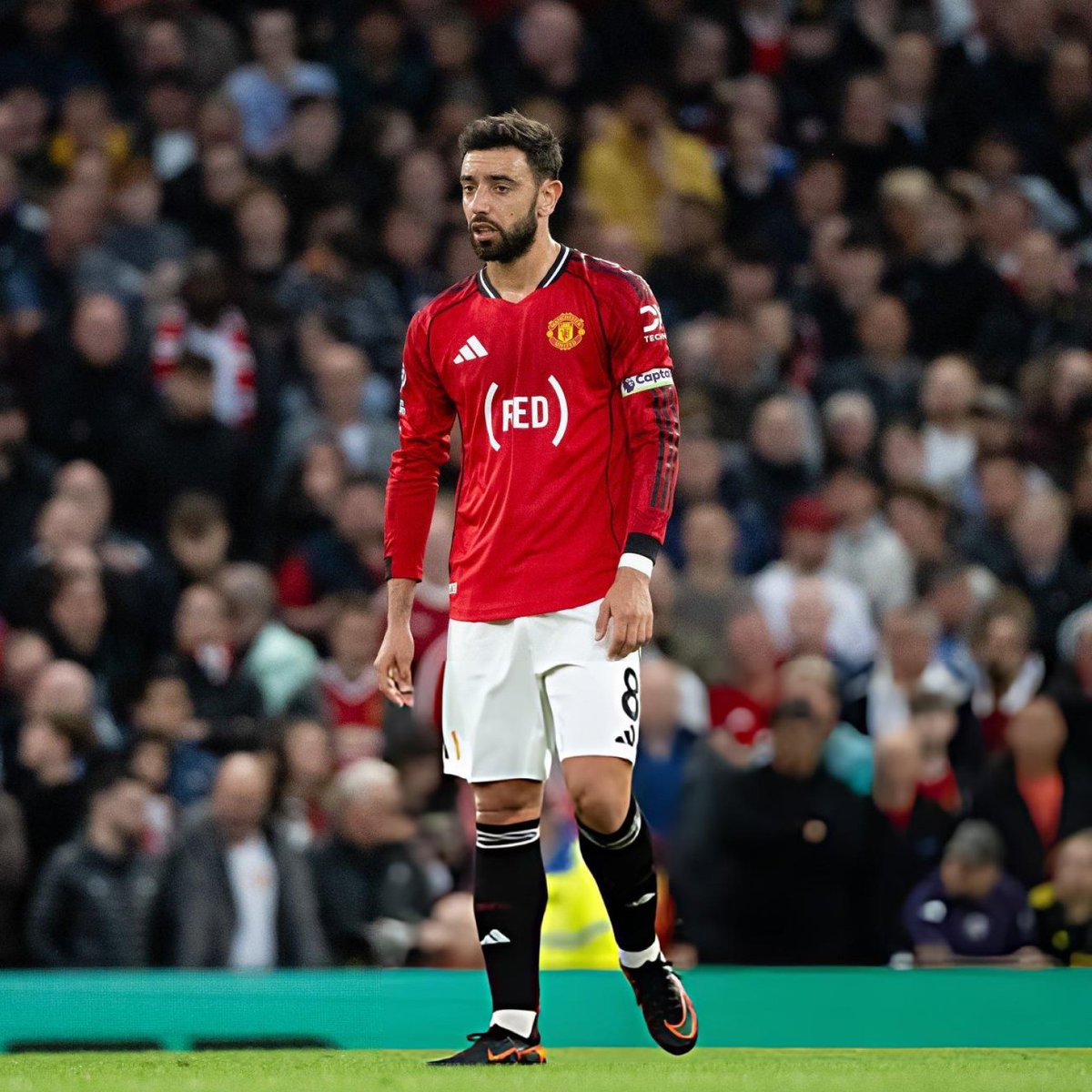 UtdDistrict's tweet photo. 🚨📊 | Bruno Fernandes is the first #mufc player to score or assist in seven consecutive Premier League appearances since Robin van Persie did so in 10 successive games between November 2012 and January 2013. [@OptaJoe] https://t.co/SHlQGFPBk7