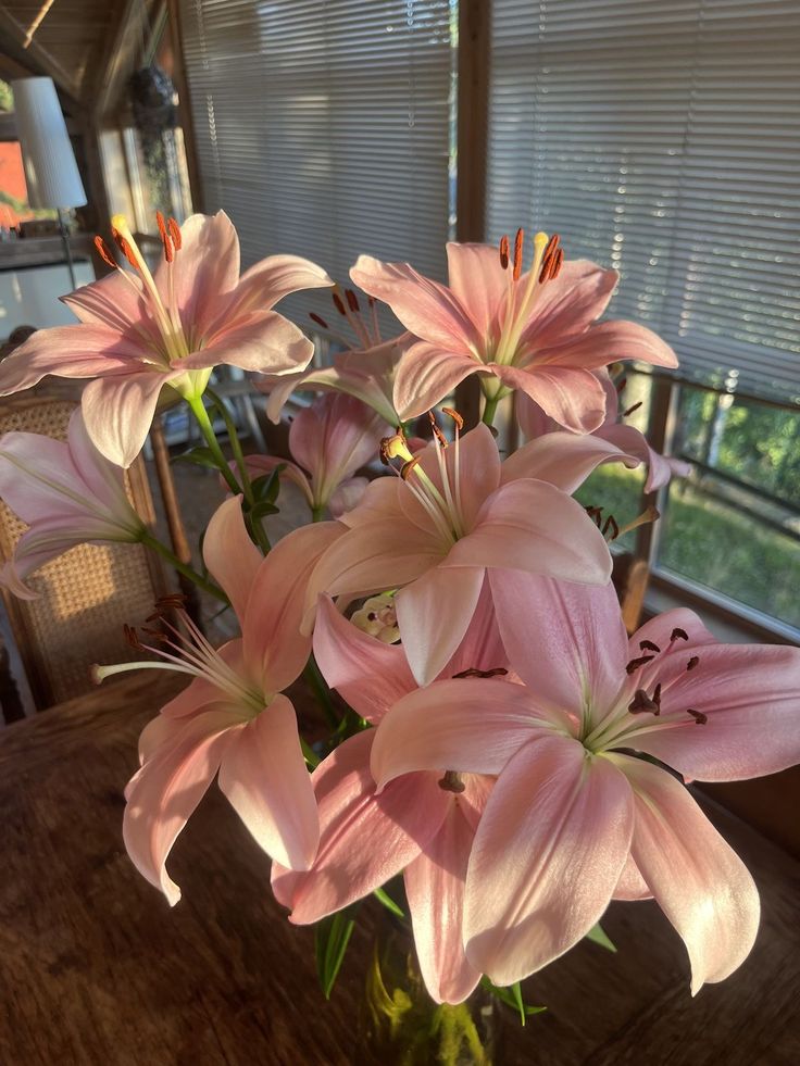 Bloomify tweet media