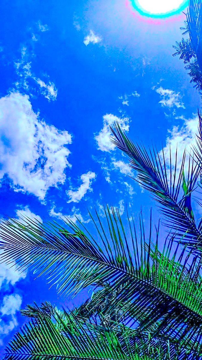 Ladigbolu_art's tweet image. DAY 52 OF 100 📸☁️
Some random sky shots!

#Photography #Art #Monochrome #100DaysChallengePostingAboutArtAndPhotography #BataDrums #YorubaCulture #VprimePhotography #SkyShots