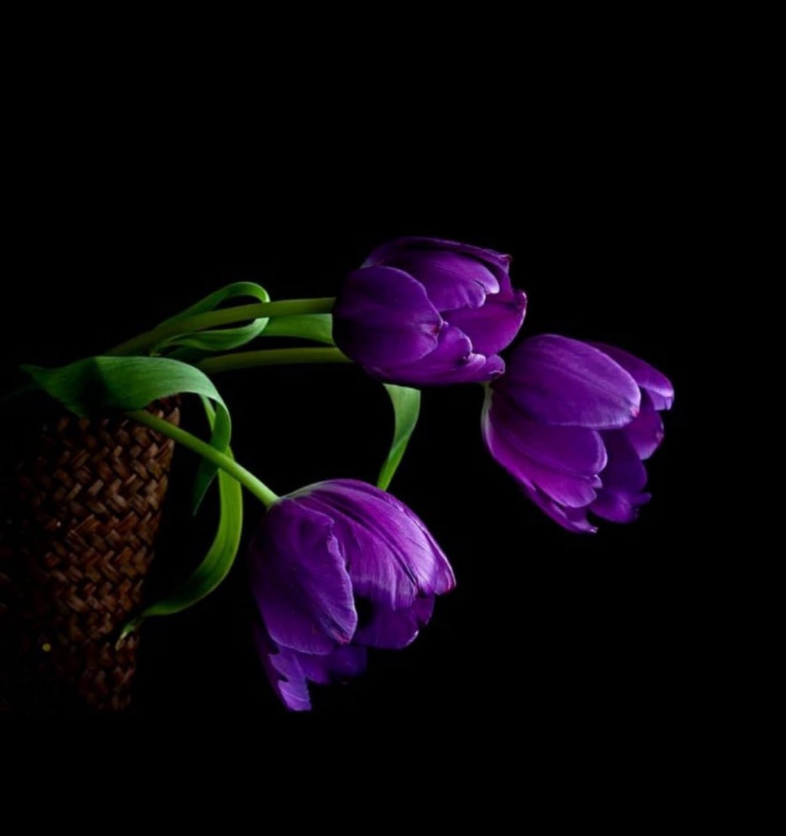 ابو سفيان tweet media