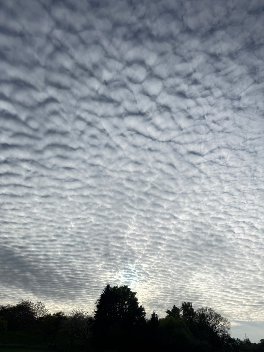 selbstverständlich tweet media