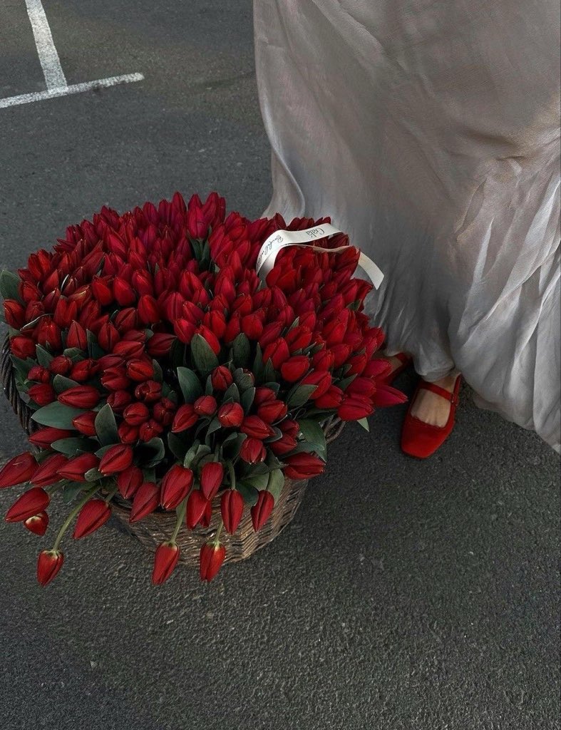 Tulips tweet media