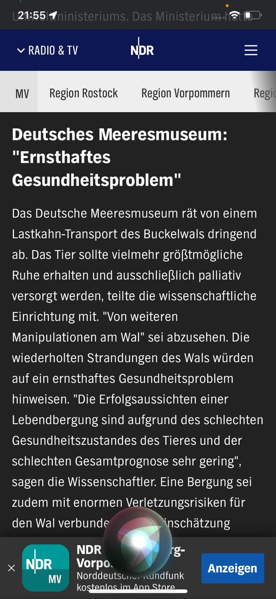Kristallblau77's tweet photo. Haltet endlich die  Klappe mit euren Unwahrheiten!  Durch euch zusammen mit #Greenpeace #ICW und #ITAW wurde #Timmy #Hope schon vor 4 Wochen Tod gesprochen.  Er wird es aber schaffen!!! Sehr viele Menschen sind mit ihren Gebeten und guten Gedanken morgen dabei. https://t.co/BD6ViYqO7D