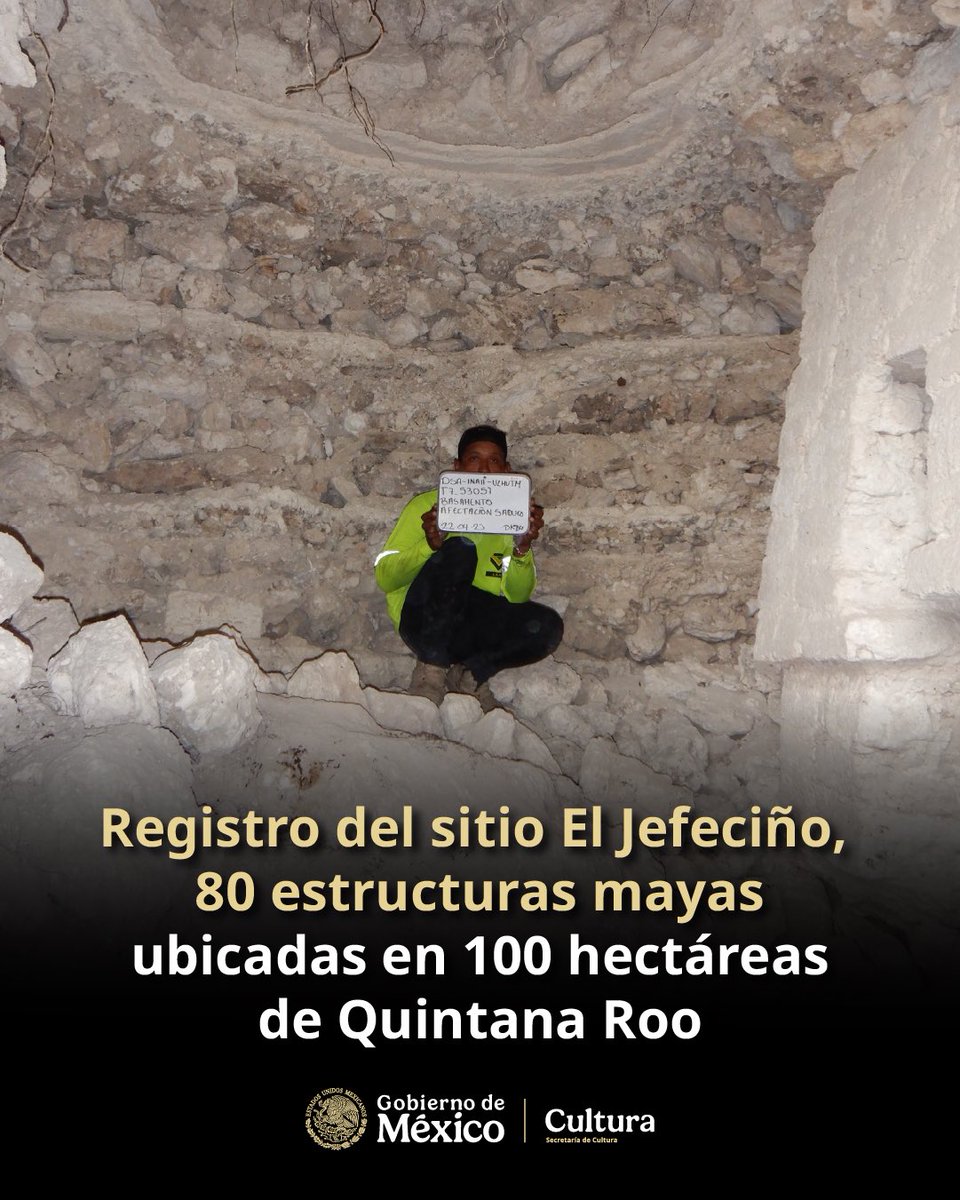 Claudia Curiel de Icaza tweet media