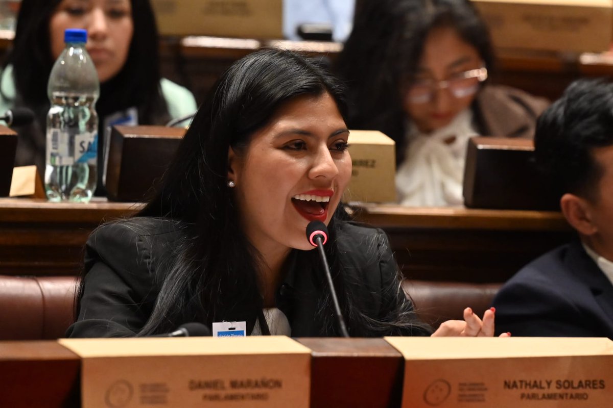 Parlamento MERCOSUR tweet media