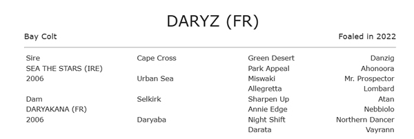breednet's tweet image. Daryz might be the best middle distance horse in Europe by the end of 2026 and on Inglis Digital April (late) there is an 8YO mare from his iconic Aga Khan Studs family breednet.com.au/news/47536/ing… @inglis_sales @Riverstone113 @WoodgeeWest