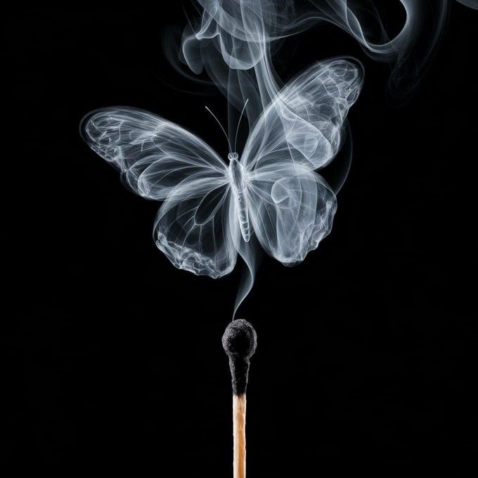 ‌‌❪❥❁ᤂ᪱⎽⎽⎽ᷘ⎽ͥ⎽ᷚ⎽ᷝ⎽ͣɺᓗᨘລ tweet media