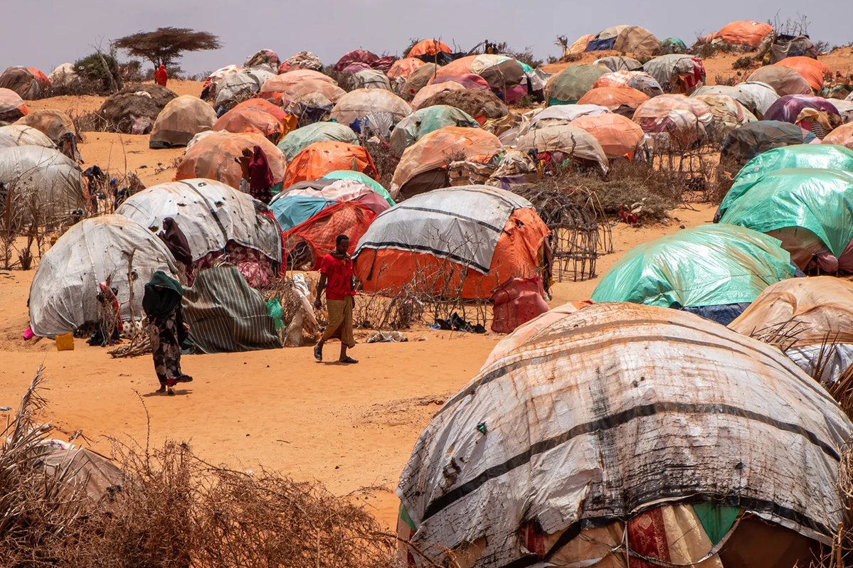 IlkhaAgency's tweet image. Somalia’s hunger crisis deepens amid sharp funding shortfall #Somalia #hunger
ilkha.com/english/world/…