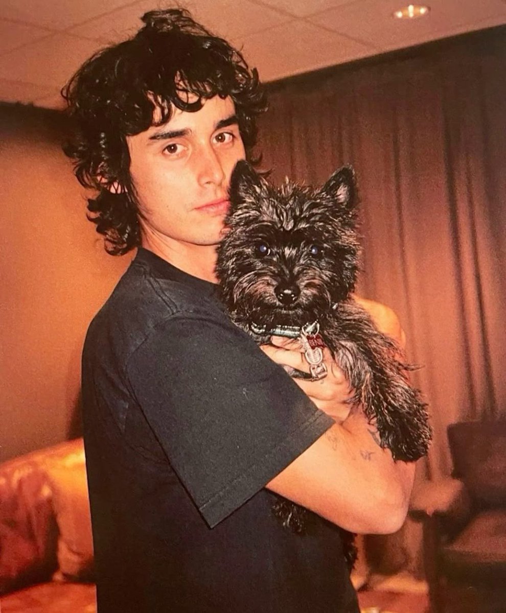 wallowcrave tweet media