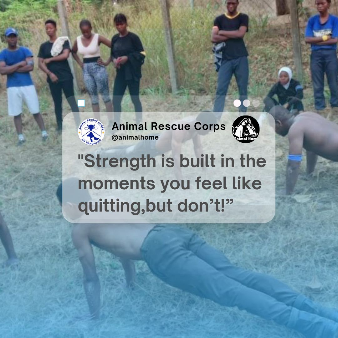 AnimalHome11's tweet image. #MotivationalMonday