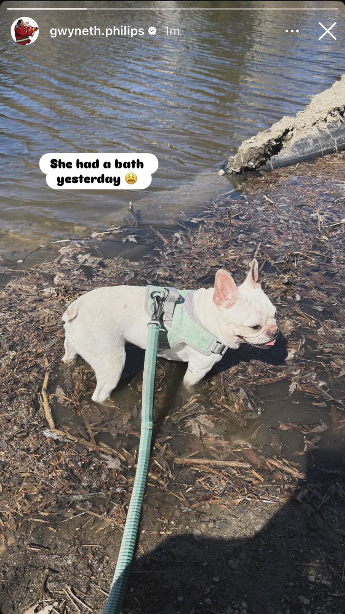 Daily Gwyneth Philips tweet media