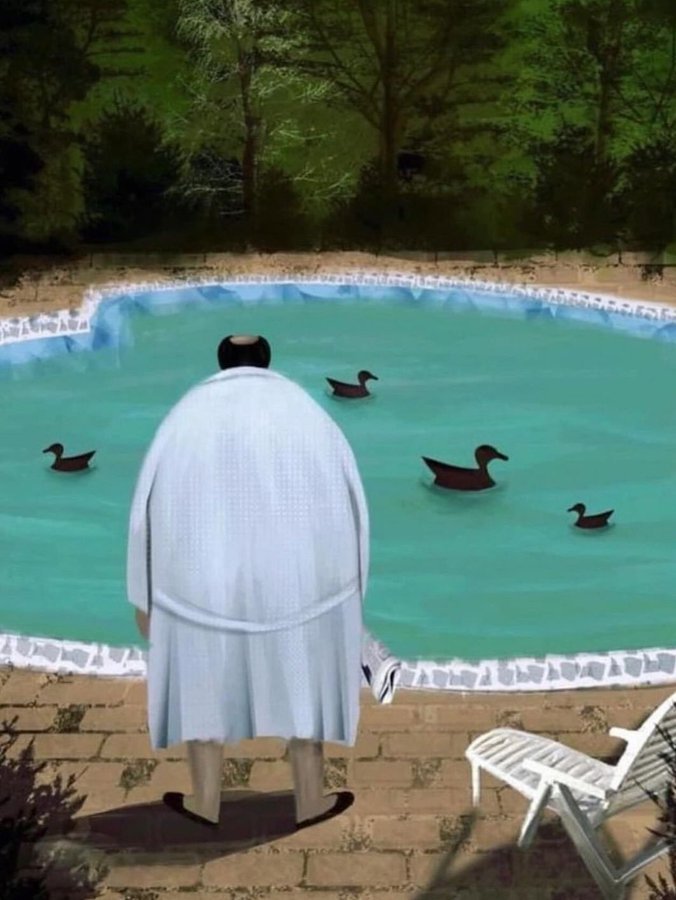 Ha sido un año de mucho cambio en mi vida, se fue la familia de patos de mi piscina...
