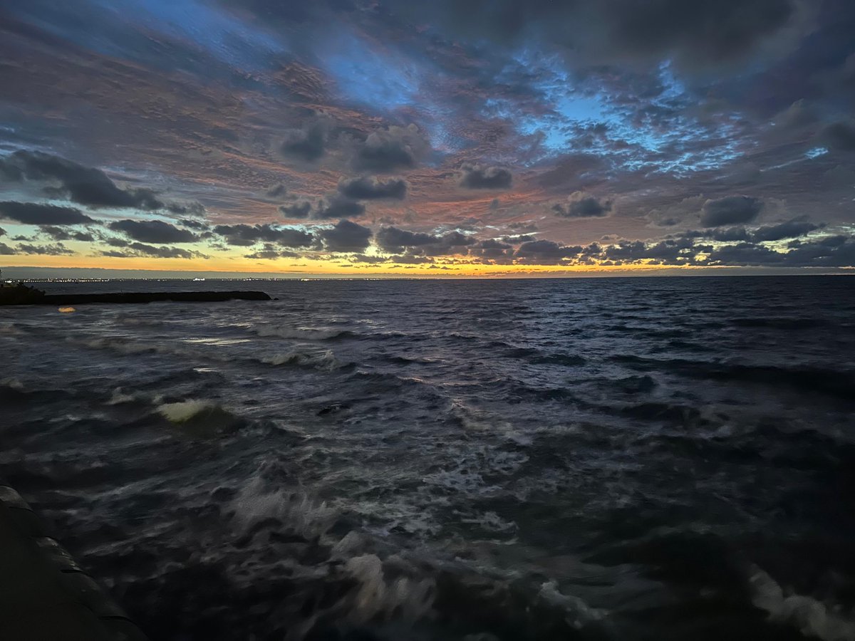 𝘚𝔢𝔫𝔞𝔱𝔬𝔯 tweet media