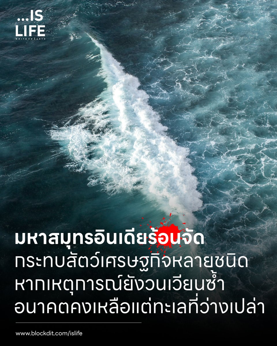 Islife.WriteonEarth tweet media