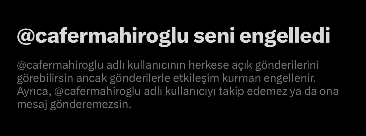 Meltem G. tweet media
