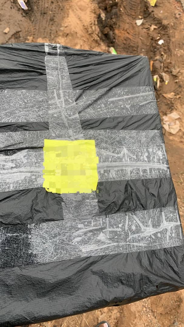 Tomi + TG tweet media