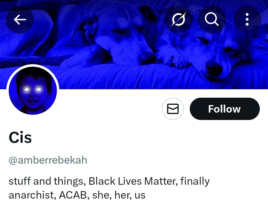 LionsGoBlue tweet media