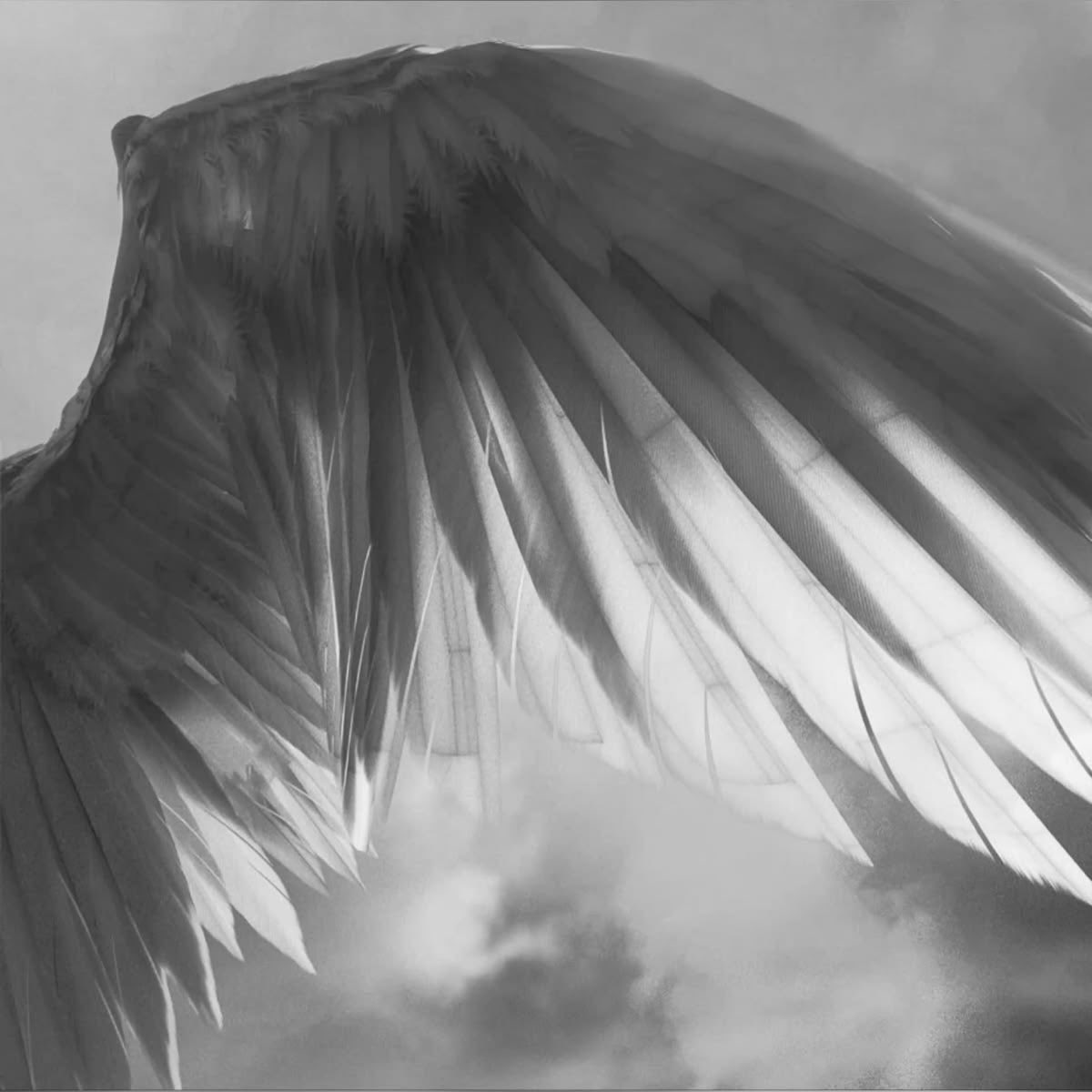 Elio ೄྀ 🤍 tweet media