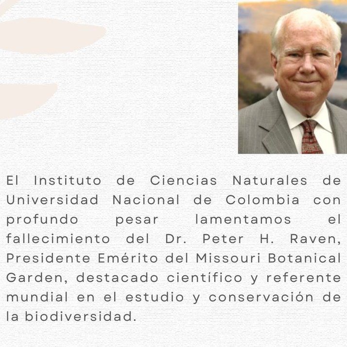 ICNUNAL's tweet photo. Flores para Peter H. Raven: importante y reconocido botánico, colega y maestro

Paz en su memoria. https://t.co/p7aTnLdffk