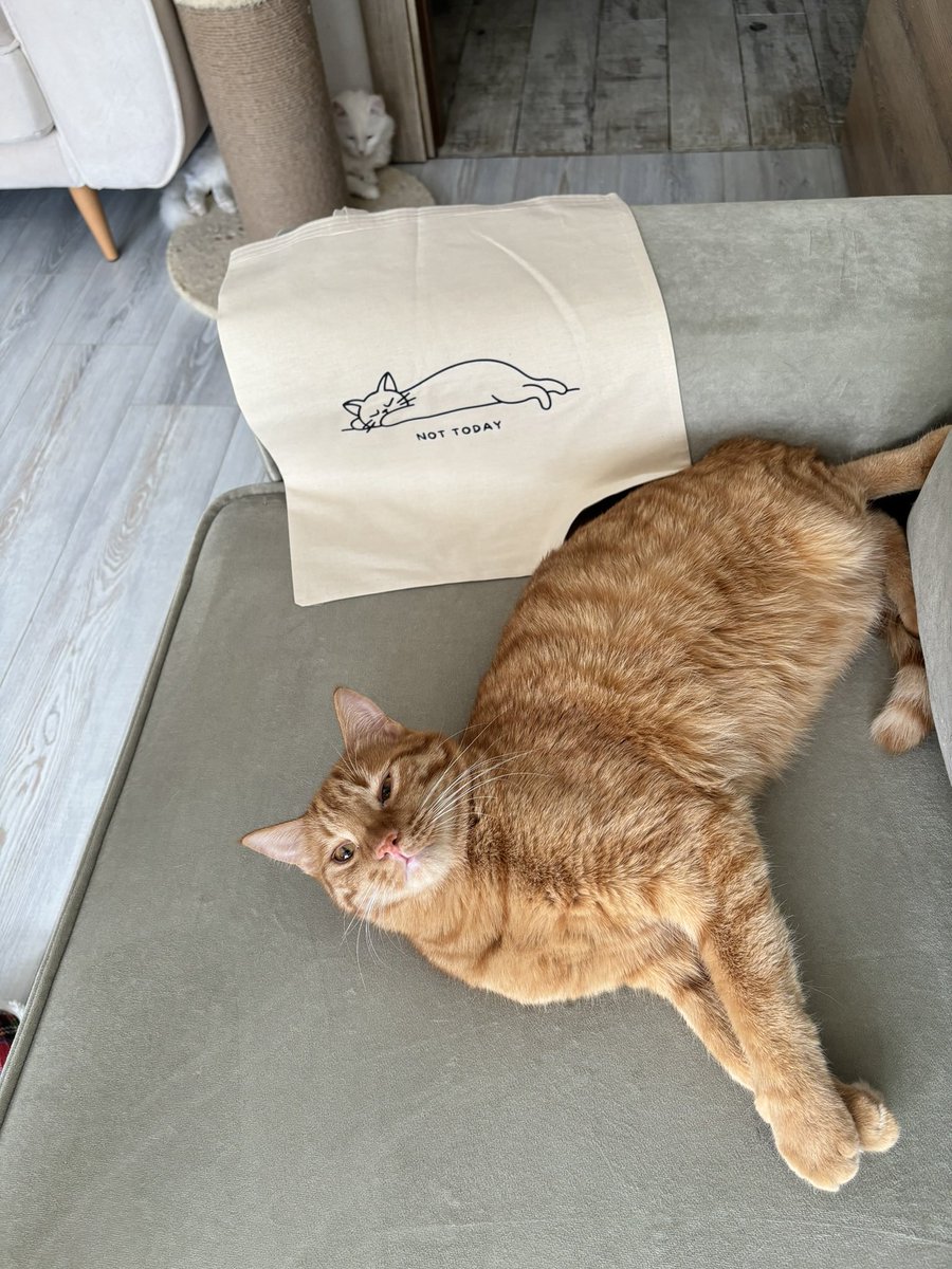 Lila, Nefes, Tike ve Kardeşleri tweet media