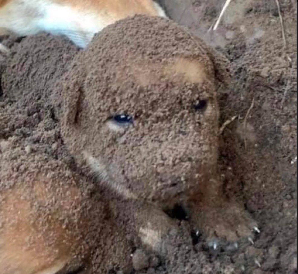 tenho que aprender a ser uma pessoa ruim, tento ser bom e sempre me fodo