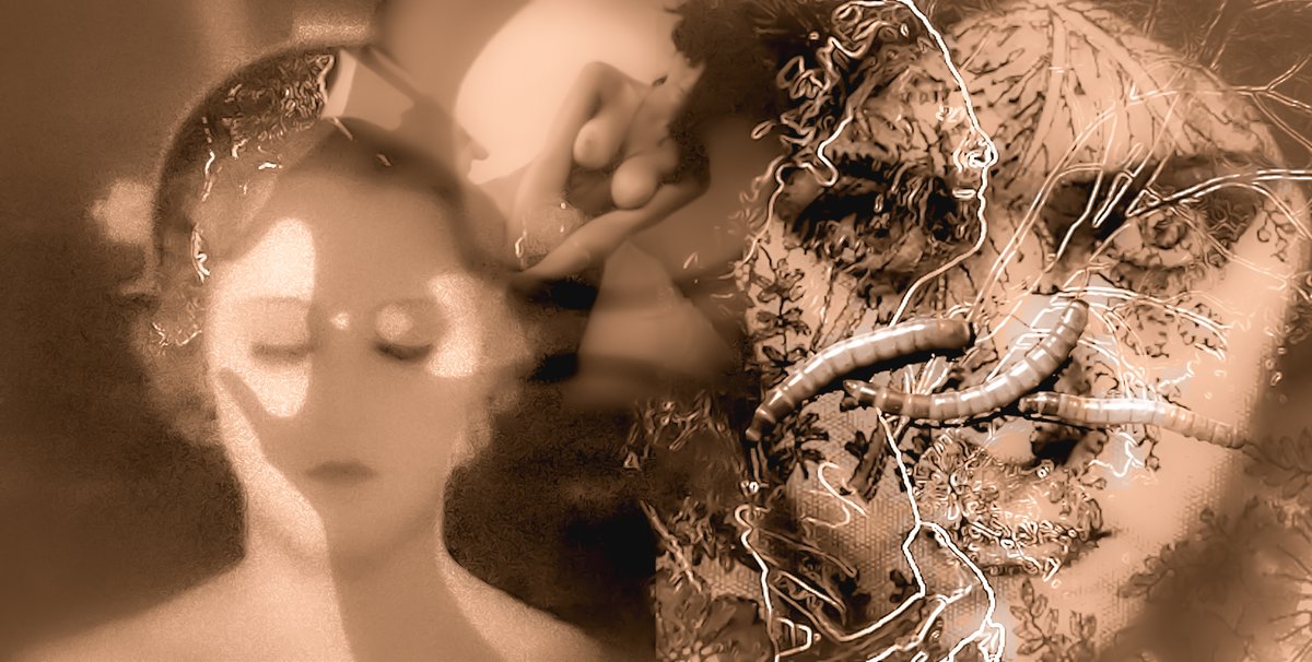 nelsonsydpink's tweet image. Long Gone
From the music video, Long Gone, (2026)
April 27, 2026
Worcester, MA

#gloriaswanson
#metropolis
#sydbarrett
#madcaplaughs
#tinaaumont
#musicvideo
#photography
#surrealism