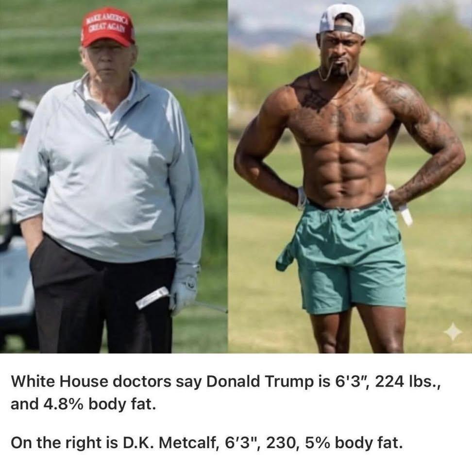 ReginaldFawknoodle tweet media