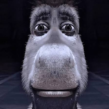 Dery the Sheep tweet media
