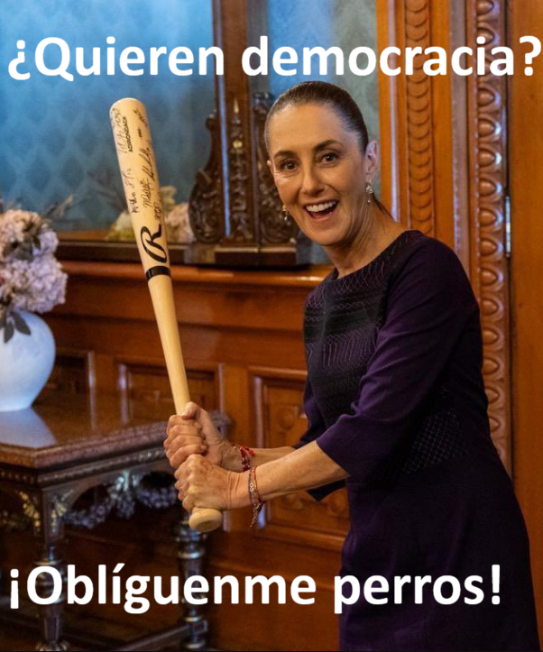 Accion Civil Mexicana tweet media