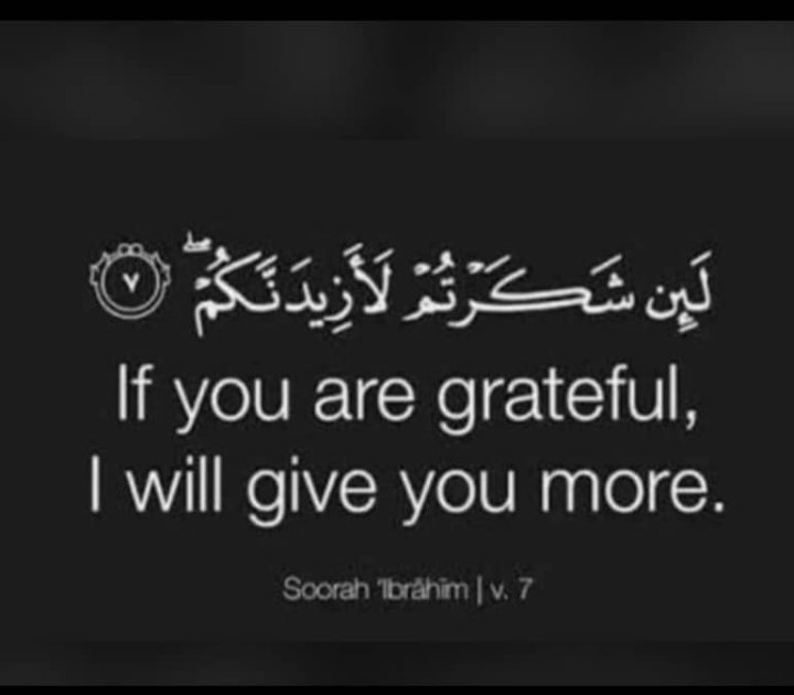 salahudeen33's tweet photo. Be grateful, to receive more.... https://t.co/AqwP6pdw4p