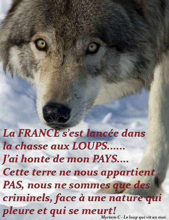 💙🤍❤️Choupie 😸 tweet media