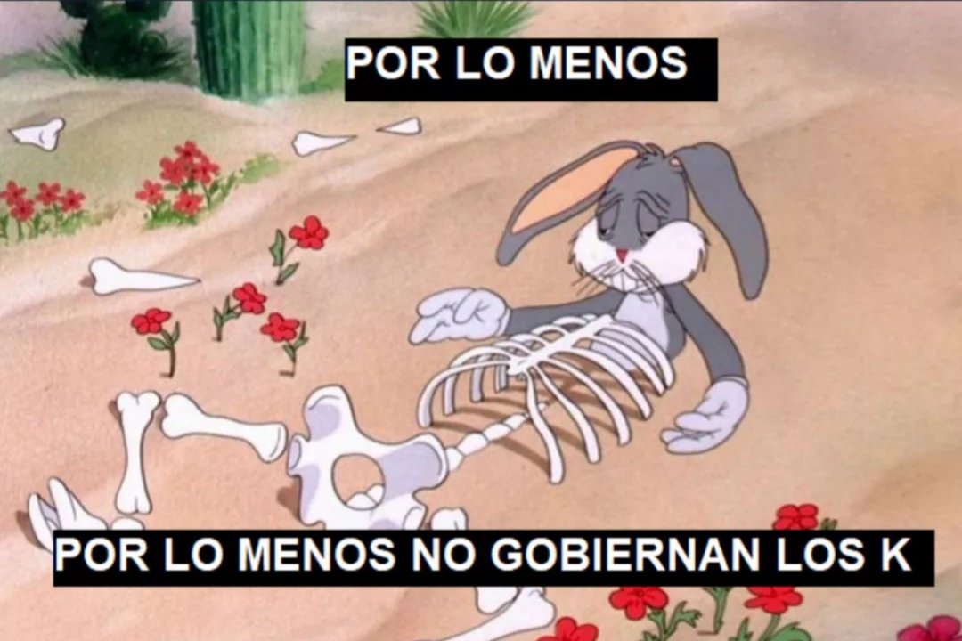 La persona más estupida que conoces:
