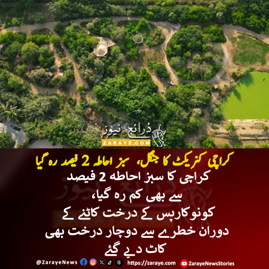 کراچی کا سبز احاطہ 2 فیصد سے بھی کم رہ گیا،  شہری اداروں کی جانب سے کانوکارپس کی کٹائی کے دوران معدونی کے شکار درخت بھی کاٹ دیے گئے

#ZarayeNews #Karachi
