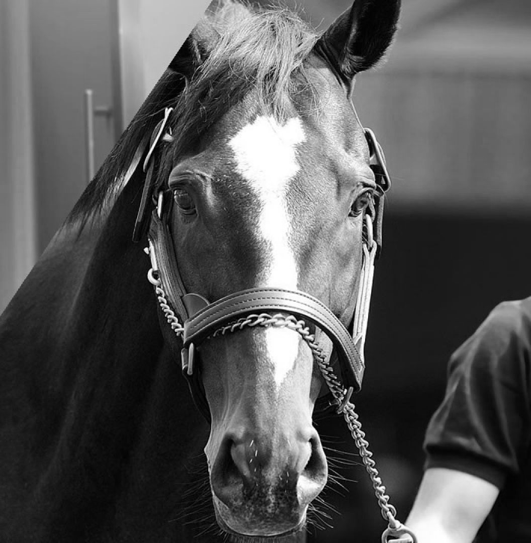 AnimeTrends tweet media