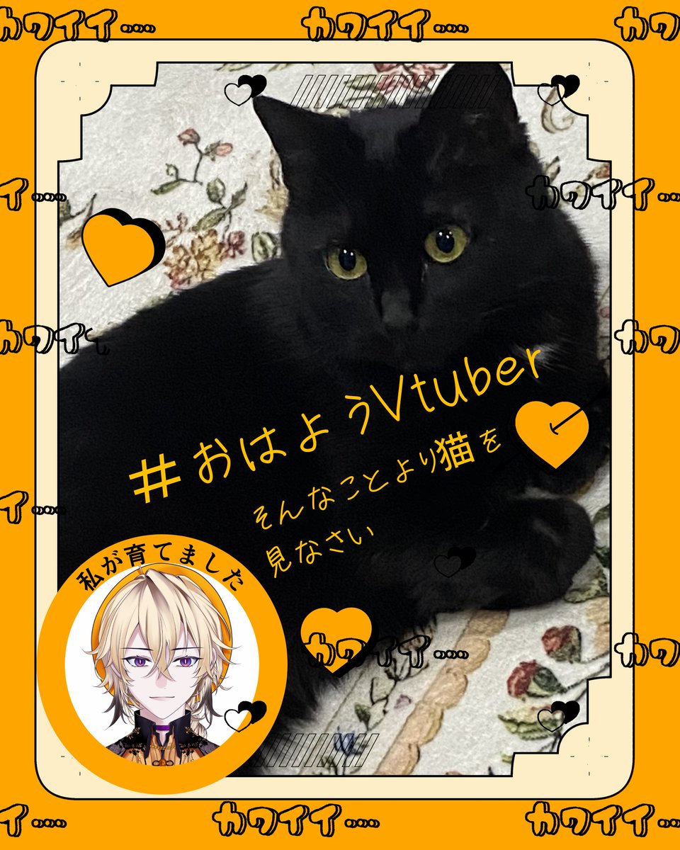 水蜜ユルギ🐝🍯 tweet media