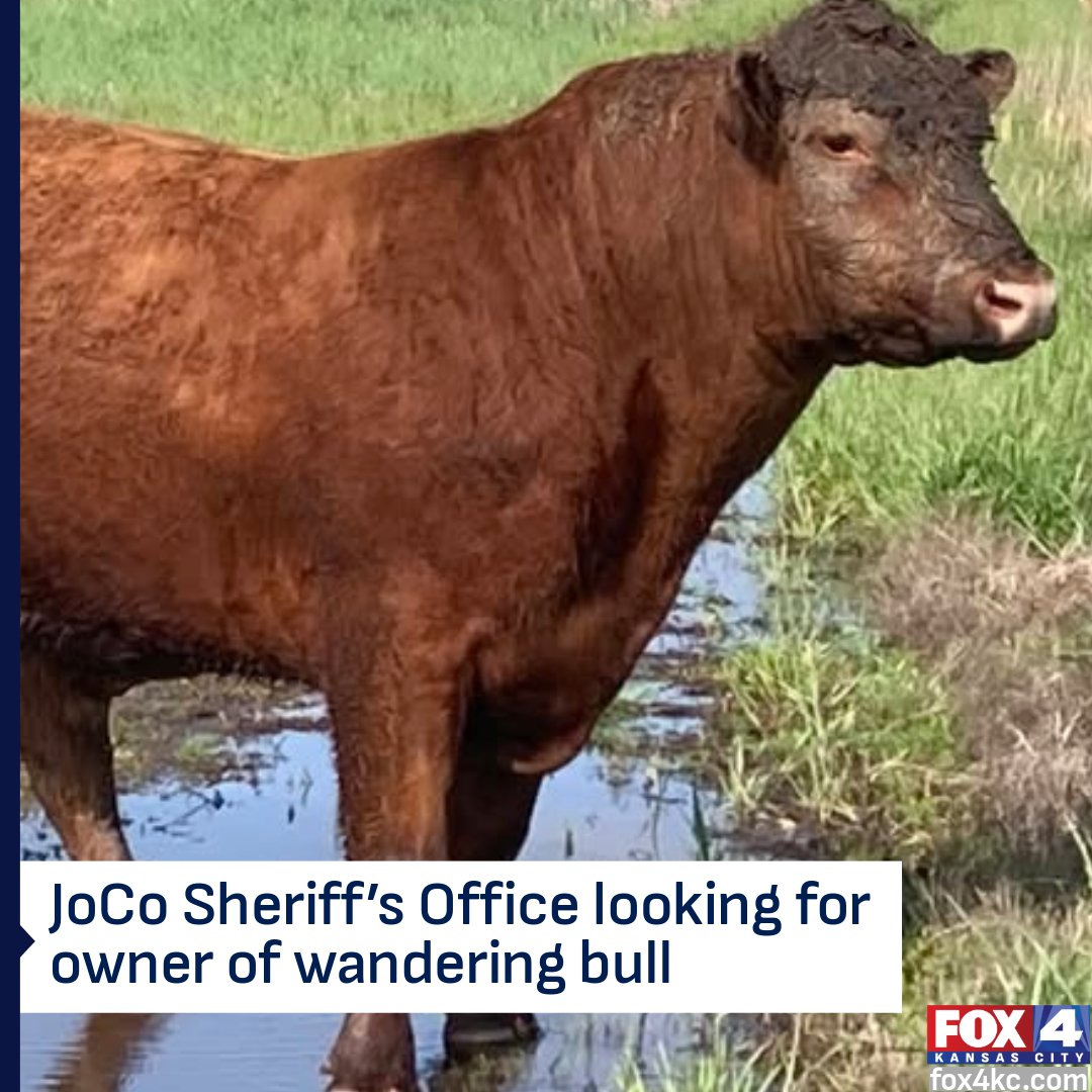 FOX4 News Kansas City tweet media