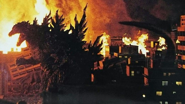 Kaiju (Firefly's Ye Shunguang's husband) tweet media