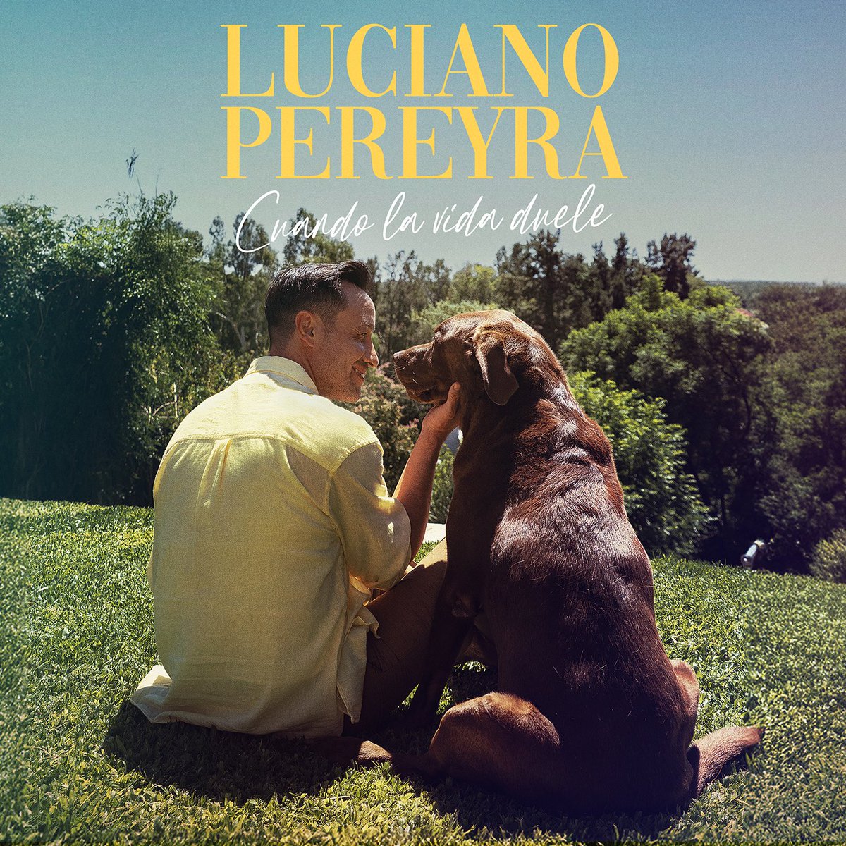 Luciano Pereyra tweet media